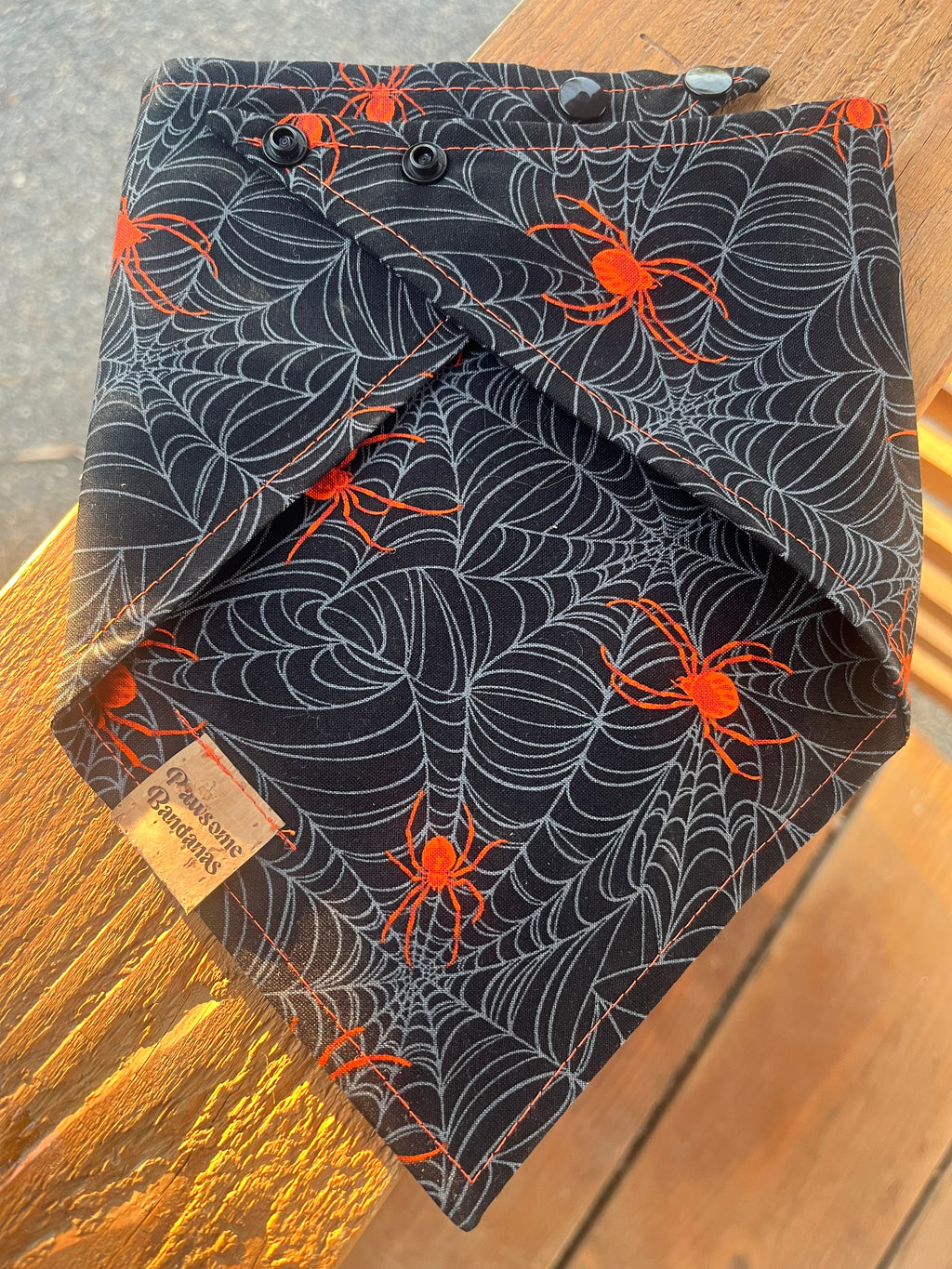 Orange spiders 🕷️