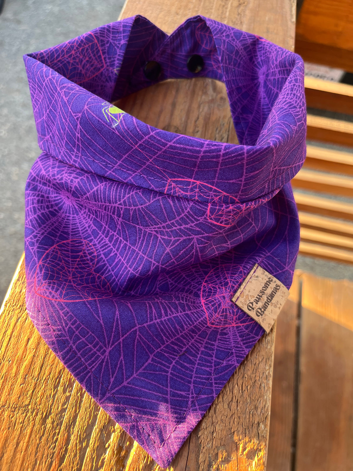 Purple spider web 🕸️🕷️