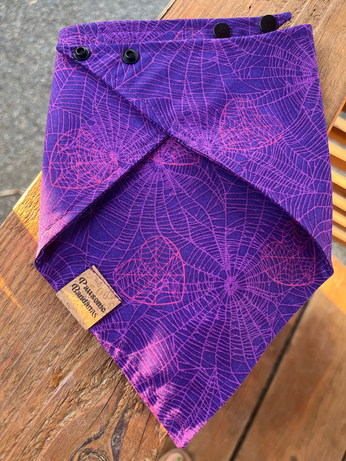 Purple spider web 🕸️🕷️