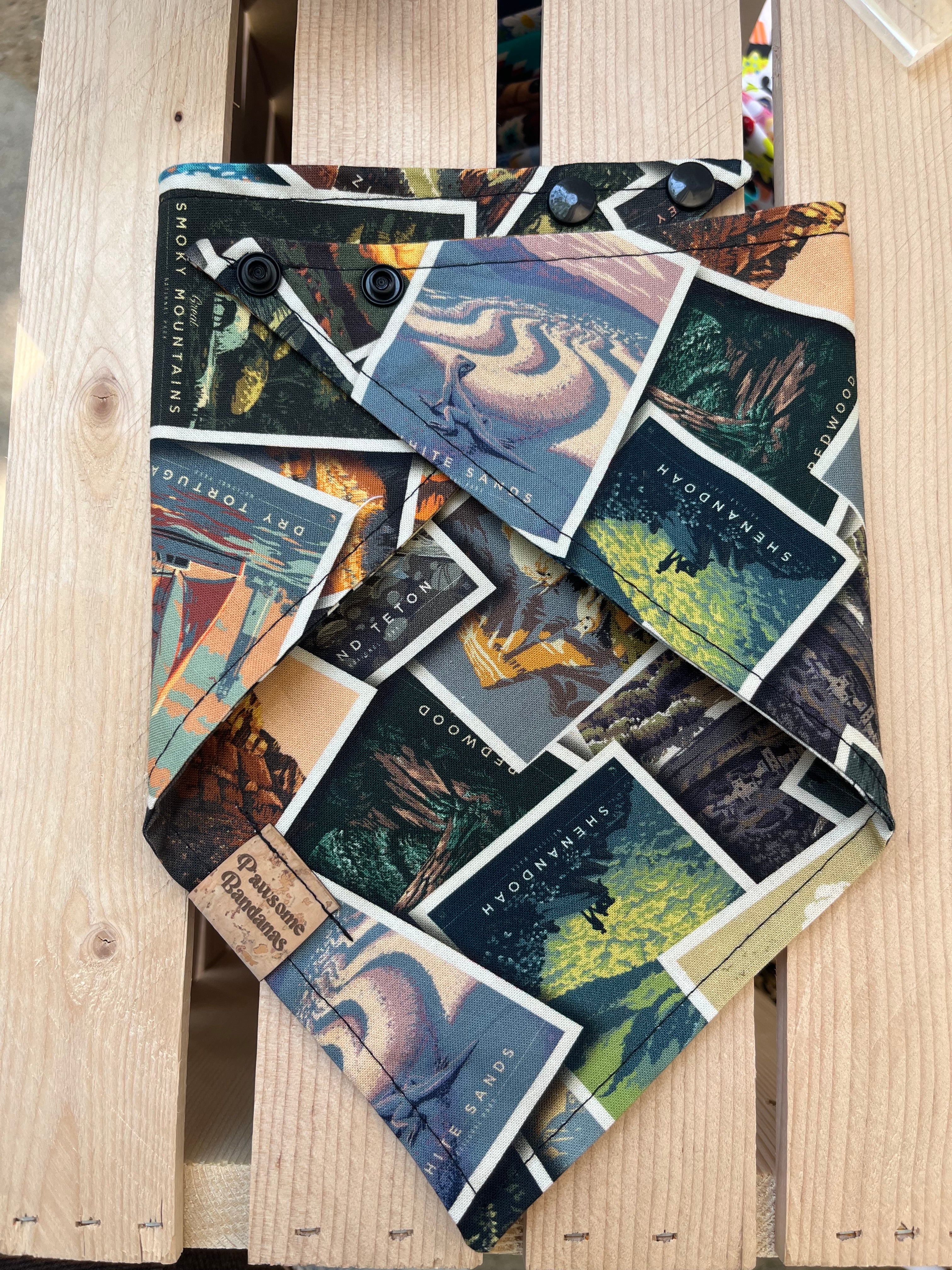 National Parks Bandana