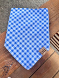 Blue Gingham