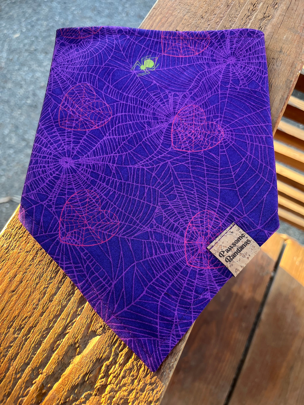 Purple spider web 🕸️🕷️