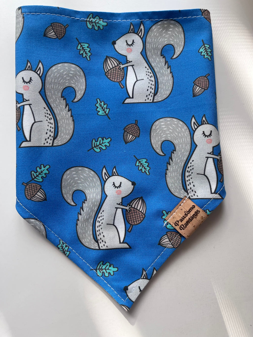 Squirrel Things